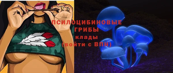 шишки Арсеньев
