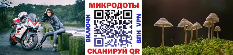 Псилоцибиновые грибы Cubensis  блэк спрут зеркало  Сим 
